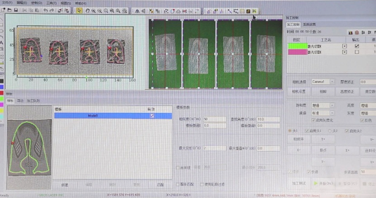 AI visual recognition system