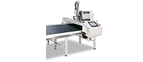Automatic labeling（Optional）