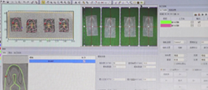 AI visual recognition system